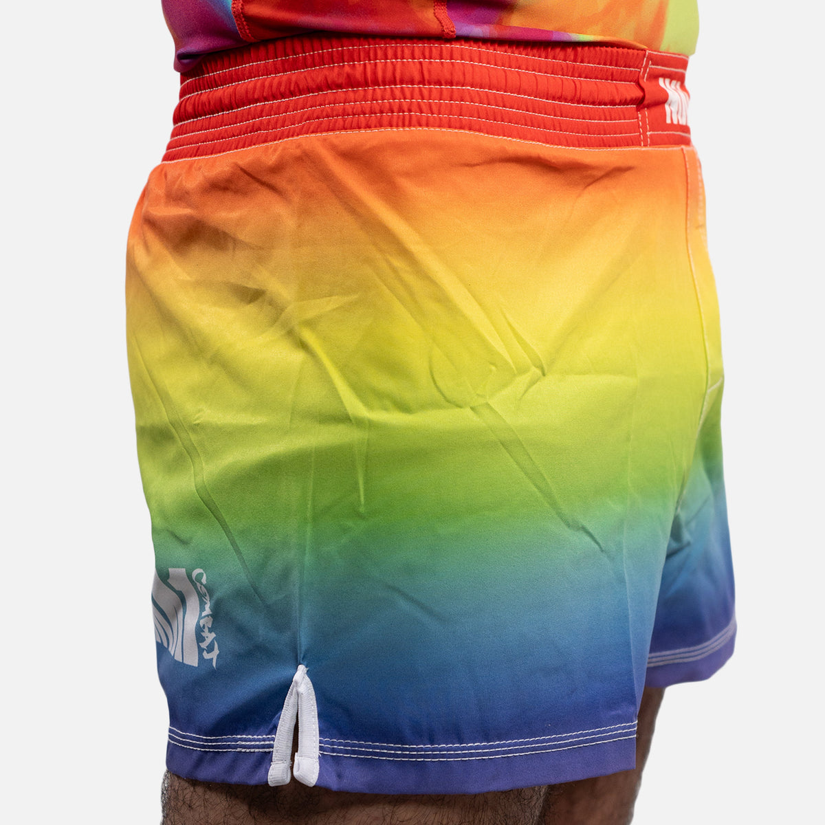 MA1 Rainbow Slim Fit High Cut MMA Shorts - product photo 3