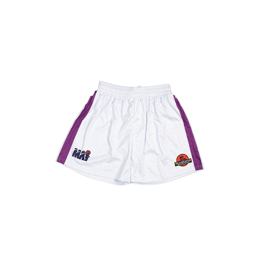 MA1 Absolute MMA Raptors Basketball Shorts - product photo 7