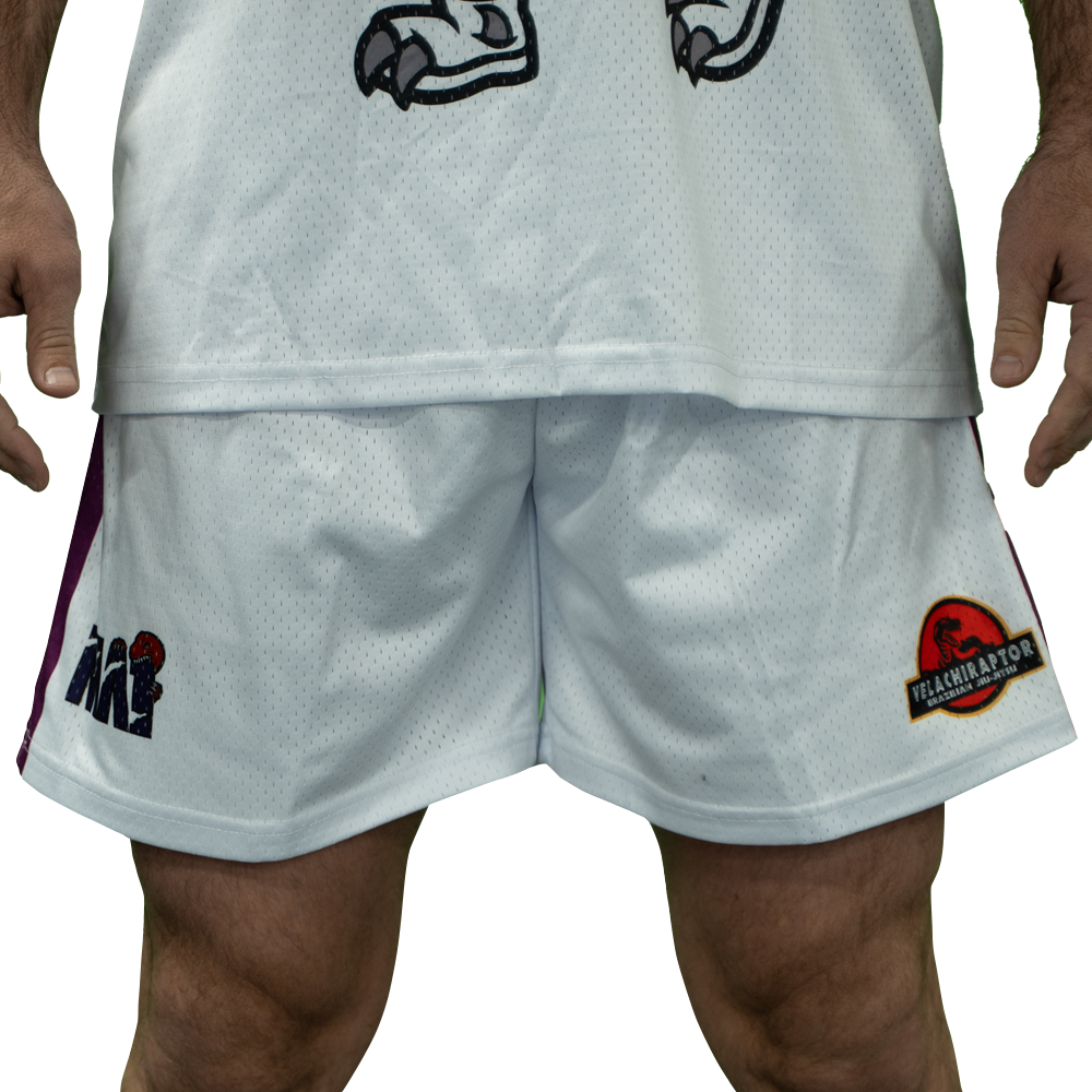 MA1 Absolute MMA Raptors Basketball Shorts - product photo 2