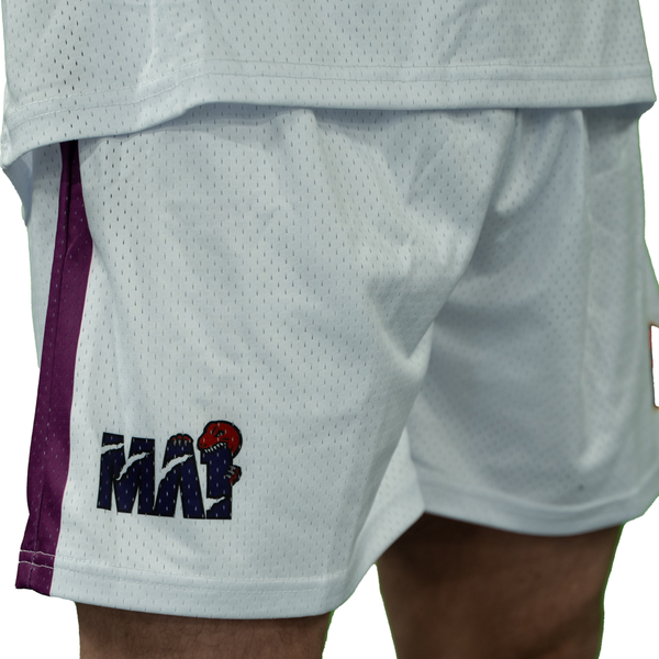 MA1 Absolute MMA Raptors Basketball Shorts